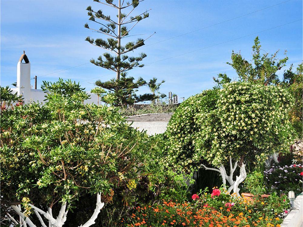 Dimitra Pension Mykonos Town Экстерьер фото